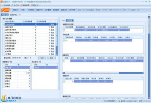 丽晶SPOS终端销售软件 零售管理的智能解决方案